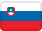 Slovenian flag